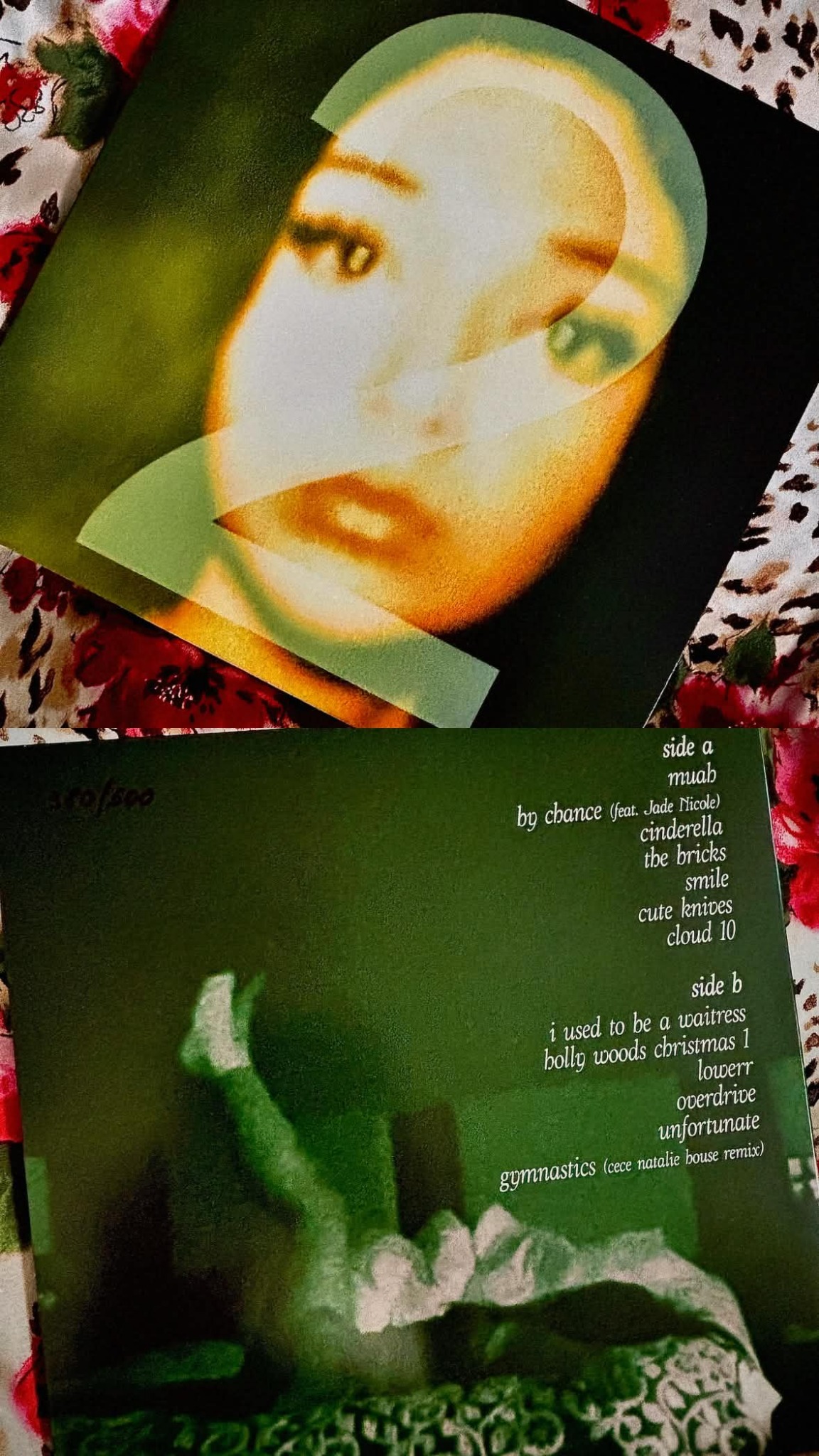 Cece Natalie - Recycling Bin Collection 2 vinyl
